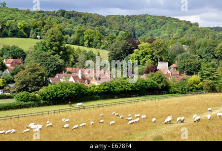 Dollar - Chiltern Hills - Ansicht Turville Village - Bereich Vordergrund - Schaf - Hütte Dächer - Kirchturm - Sonnenlicht Stockfoto