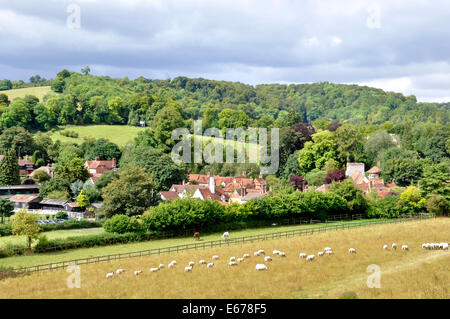 Böcke Chiltern Hills Ansicht Turville Dorf - Schafe im Vordergrund - Hütte Dächer-Kirchturm - bewaldeten Hügeln - Sonnenlicht Stockfoto