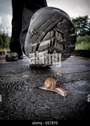 Person zu Schritt auf eine Schnecke Stockfoto