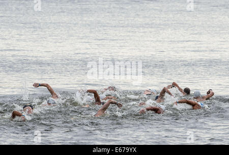 Berlin, Deutschland. 17. August 2014. Die Schwimmer zu konkurrieren, in der Männer 25 km Open Finale Wasser auf der 32. LEN europäischen Swimming Championships 2014 an der Regattastrecke Gruenau in Berlin, Deutschland, 17. August 2014. Foto: Tim Brakemeier/Dpa/Alamy Live News Stockfoto