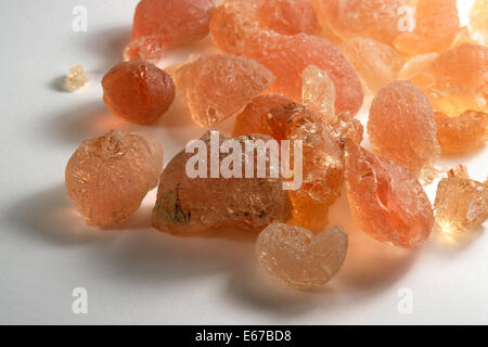 Gummiarabikum Stücke in Licht zurück Stockfoto