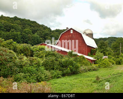 rote Scheune Stockfoto