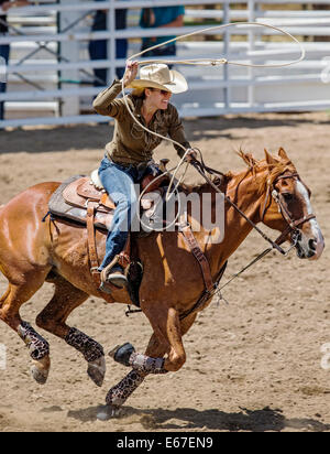 Cowgirl auf dem Pferderücken konkurriert in der Tie-Down Abseilen Veranstaltung Chaffee County Fair & Rodeo Stockfoto