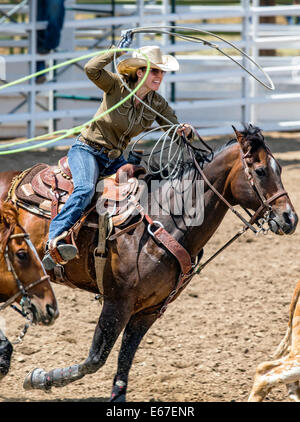 Cowgirl auf dem Pferderücken konkurriert in der Tie-Down Abseilen Veranstaltung Chaffee County Fair & Rodeo Stockfoto