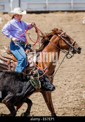 Cowgirl auf dem Pferderücken konkurriert in der Tie-Down Abseilen Veranstaltung Chaffee County Fair & Rodeo Stockfoto