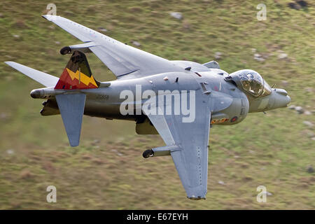 Die Harrier ist gebrauchte Br der RAF in der Luft-Unterstützung-Rolle und ist der jüngste in einer langen Reihe von Sprung-Jets. Stockfoto