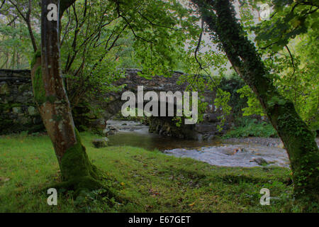 ein Stein Bogenbrücke über einen kleinen Fluss in einem Waldgebiet Stockfoto