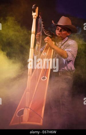 Mann Joropo Harfe zu spielen Stockfoto