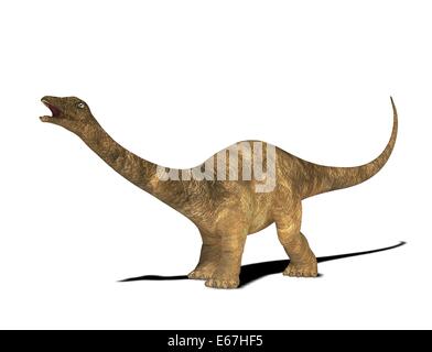 Dinosaurier Diplodocus / Dinosaurier Diplodocus Stockfoto