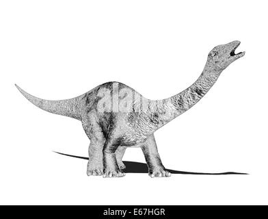 Dinosaurier Diplodocus / Dinosaurier Diplodocus Stockfoto