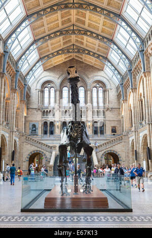 Große Eingangshalle des Natural History Museum, London, England Stockfoto