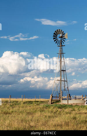 Windmühle mit einer Pumpe und Vieh Wassertank in Shortgrass Grasland vor Gewitterhimmel, Pawnee National Grassland in Colorado in der Nähe Stockfoto