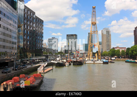 Skyline von hohe Aufstieg Gebäude um Leuvehaven, Rotterdam, Südholland, Niederlande Stockfoto