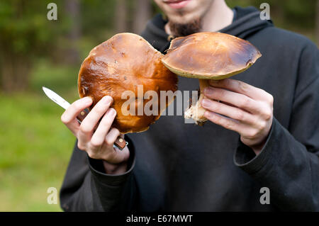 Mann hält Steinpilzen Pilze und Taschenmesser Stockfoto