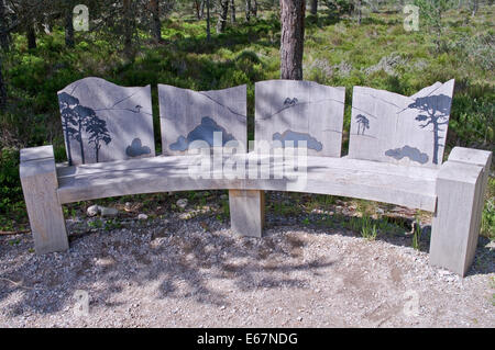 Schön geschwungene dekorierten Holzbank an RSPB Loch Osprey Gartencenter, Abernethy Forest National Nature Reserve, Cairngorms Stockfoto