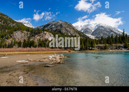 Fluss, der durch die Berge, Banff Nationalpark Alberta Kanada im Frühling Stockfoto