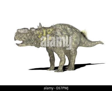 Pachyrhinosaurus Dinosaurier / Pachyrhinosaurus Dinosaurier