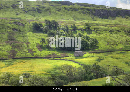 Den grünen Hügeln der Yorkshire Dales Stockfoto