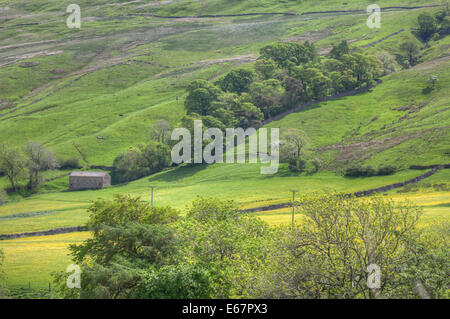 Den grünen Hügeln der Yorkshire Dales Stockfoto