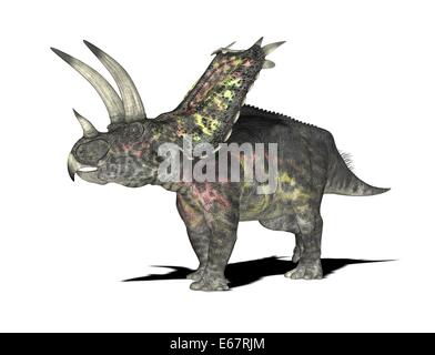 Dinosaurier Pentaceratops / Dinosaurier Pentaceratops Stockfoto