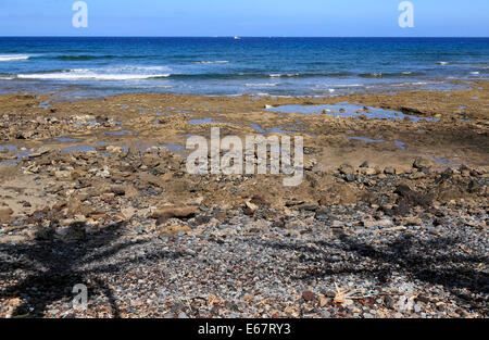 Teneriffa Stockfoto