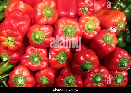 Bunte Paprika auf dem Display am Markt, Philadelphia, Pennsylvania. Stockfoto