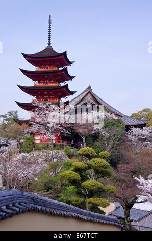 Gojunoto (fünfstöckige Pagode) und Toyokuni-Schrein umgeben von Kirschblüten in Miyajima, Präfektur Hiroshima, Japan Stockfoto