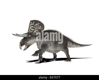 Zuniceratops Dinosaurier Stockfoto
