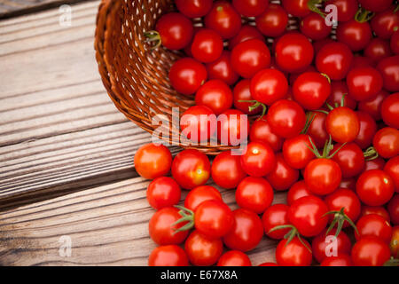 Hausgarten, reife Tomaten auf einem hölzernen Hintergrund Stockfoto