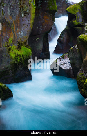 Avalanche Creek Schlucht in Glacier Nationalpark in Montana befindet sich in der Nähe der US-kanadischen Grenze Stockfoto