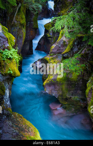 Avalanche Creek Schlucht in Glacier Nationalpark in Montana befindet sich in der Nähe der US-kanadischen Grenze Stockfoto