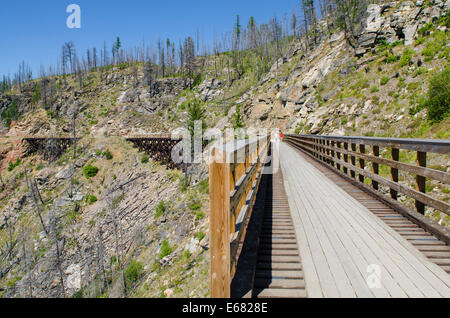 Mountain Biken Radfahren Reiten die alten Holzeisenbahn Böcke Trail in den Myra Canyon, Kelowna, British Columbia, Kanada. Stockfoto