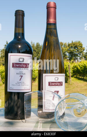 Wein Gläser Flaschen im Township 7 Weingut, Langley, British Columbia, Kanada. Stockfoto