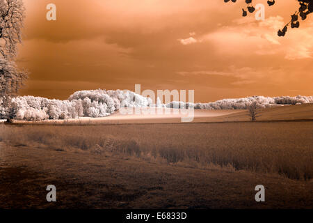 Offenland Stockfoto