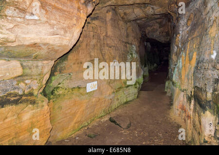 BILDHAUER-HÖHLE AM EINGANG UND INFORMATIONEN ZEICHEN MORAY KÜSTE SCHOTTLANDS IN DER NÄHE VON HOPEMAN Stockfoto