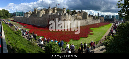 Mohn an der Tower of London, London, England, UK. 18. August 2014 die wunderbare sich entwickelnden Instalation, "Blut Mehrfrequenzdarstellung Länder und Meere of Red" anlässlich der Hundertjahrfeier des Beginns des ersten Weltkriegs wurde von Künstler Paul Cummins mit der Einstellung von Bühnenbildner Tom Piper. Durch den 11. November dieses Jahres werden 888.246 Keramik Mohn füllen das Wassergraben des Tower of London, eine Mohnblume vertritt jeder britischen Mann oder Frau, der fiel und starb während Weltkrieges einer, 1914-1918. Die Mohnblumen sind zum Verkauf an £25 und auftragsgemäss angehoben zwischen sechs Service-Hilfsorganisationen weitergegeben. PA Stockfoto