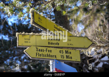 Gelbe Schilder mit Wegbeschreibungen und Zeit zu Fuß zum Ziel auf Wanderwegen in den Schweizer Alpen Stockfoto