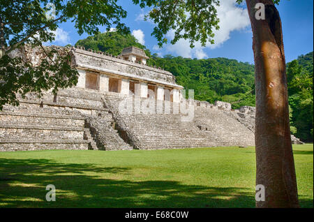 Der Palast und Hauptplatz von den Maya-Ruinen von Palenque, Chiapas, Mexiko. Stockfoto