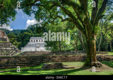 Tempel der Inschriften glänzt wie eine weiße Perle im Dschungel bei den Maya-Ruinen von Palenque, Chiapas, Mexiko. Stockfoto