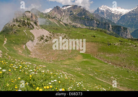 Bei den beliebten Nachmittagscafe Schynige Platte im Berner Oberland, Schweiz Stockfoto