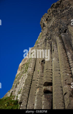 Ein geschichtetes Felswand in der Nähe des Giants Causeway, Bushmills, County Antrim, August. Stockfoto