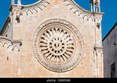 Rose Fenster (Rosone), Ostuni Kathedrale (Cattedrale di Santa Maria Assunta), Puglia, Italien Stockfoto