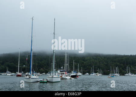 Northeast Harbor, ME - 13. August 2014. Northeast Harbor im Nebel. Stockfoto