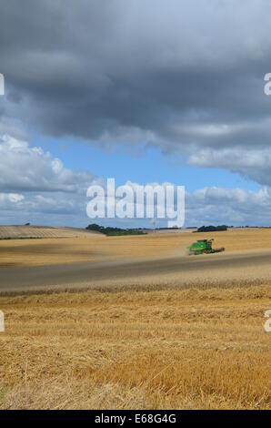 Die letzte Ernte vor dem Sturm. Auf die Sussex South Downs im August 2014. Stockfoto