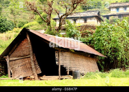 Alten ländlichen Hütte mit Rush Mat, die Wände aus geflochtenen Korbwaren und Zinn-Dach über Holzpfosten am Stadtrand von Landruk Dorf Stockfoto