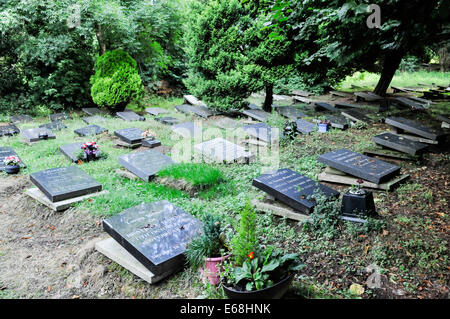 Mährische Kirche Friedhof mit Grabsteinen flach auf den Boden gelegt. Stockfoto