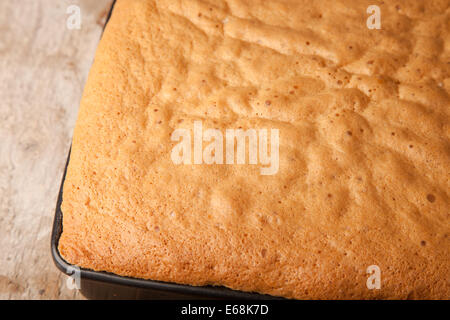 Nahaufnahme Bild von Kuchen Schwamm Stockfoto