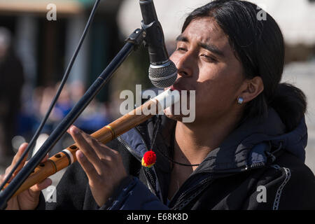 Anden Flötenspieler führt für Karneval Massen an der Uferpromenade in Castello Bezirk von Venedig. Stockfoto