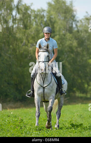 Reiter auf der Rückseite eine "Selle Français" (französische Warmblut Pferd) Reiten im Sommer Stockfoto