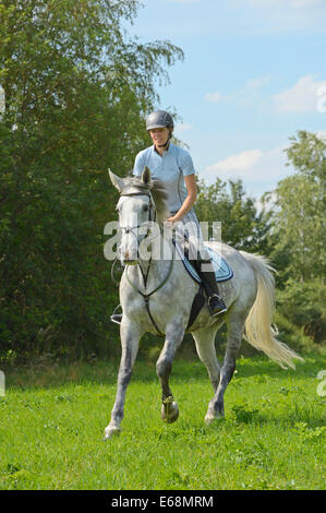 Reiter auf der Rückseite eine "Selle Français" (französische Warmblut Pferd) Reiten im Sommer Stockfoto